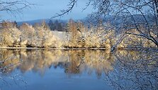 Balta balta žiema Norvegijoje
