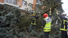 Siaučiančios vėtros Prancūzijoje i&scaron;vartė medžius.
