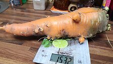 I&scaron;rauta morka svėrė 1,532 kg. 