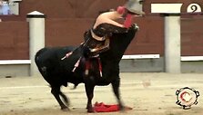 I&scaron;erzintas koridos bulius suleido abu ragus į matadorą Fernandą Cruz.