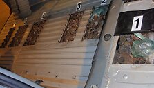 VSAT Varėnos rinktinės operatyvininkų sulaikytas mikroautobusas-slėptuvė ir gabentas gintaras