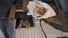 VSAT Varėnos rinktinės operatyvininkų sulaikytas mikroautobusas-slėptuvė ir gabentas gintaras 