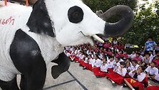 Tailando zoologijos sodo darbuotojai nekenksmingais dažais nudažė dramblius kaip pandas.