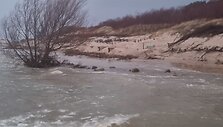 Palanga