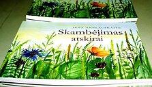 Ievos Anelauskaitės knyga &bdquo;Skambėjimas atskirai&ldquo;