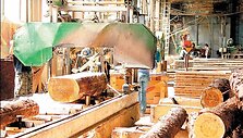 Trečiojo ketvirčio pridėtinės vertės kritimą stabdė sulėtėjęs pramonės produkcijos gamybos smukimas.