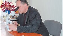 Aukso dulkių lietuvi&scaron;kame smėlyje galima matyti tik pro mikroskopą.
