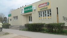Vaistinė