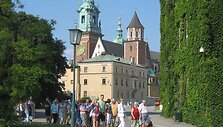 Krokuva