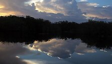 Everglades parkas, Florida