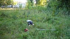 I&scaron;ai&scaron;kinta, kaip į Alytaus pataisos namus patekdavo narkotikų ar psichotropinių medžiagų.