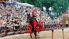 Riterių turnyras