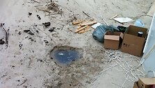 L.Karaliaus kavinė ant jūros kranto sulaukė tikrintojų. 