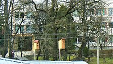 Bundanti gamta praskaidrina nuotaiką. 
