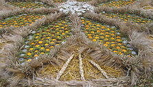 Floristų kilimas