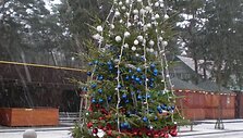 Į Palangą jau užsuko tikroji žiema.