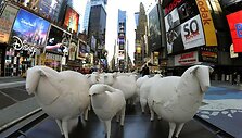 Menininko Kyu Seoko Oh kūrinys &bdquo;Counting Sheep&ldquo;
