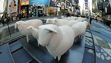 Menininko Kyu Seoko Oh kūrinys &bdquo;Counting Sheep&ldquo;