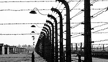 Laikas dar nenugramzdino istorijos...
