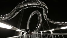 Skulptūra &bdquo;Tiger and Turtle &ndash; Magic Mountain&ldquo;  (&bdquo;Tigras ir vėžlys &ndash; Magi&scaron;kasis kalnas&ldquo;)