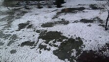 Penktadienio sniegas Plungėje