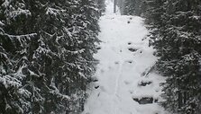&Scaron;tribske Pleso keltuvai