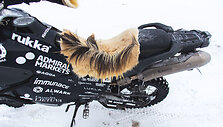 &bdquo;The coldest ride&ldquo;: trečioji diena Jakutske, motociklo testai ant Lenos ledo