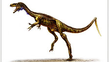 Prancūzijoje rastas dinozauro sauropodo &scaron;launikaulis