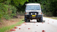 Krabus saugantis &bdquo;Toyota Land Cruiser&ldquo;
