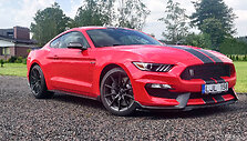 Aurimas Eidžiūnas, &bdquo;Ford Mustang Shelby GT350&ldquo; 