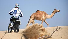 Arūnas Gelažninkas treniravosi Dubajuje kartu su Antanu Juknevičiumi