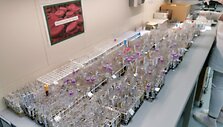 Santaros klinikų Laboratorinės medicinos centro laboratorija