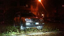 Fotopolicija. Visureigis &bdquo;Lexus&ldquo; įropojo į gyventojų aptvertą pievutę 