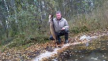 Žūklės laimikis. 8 kg Vido lydeka.