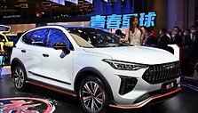 Kini&scaron;ki Haval automobiliai