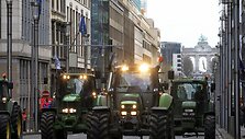 Ūkininkų surengtas protestas Briuselyje: pienu apipiltas Europos parlamentas