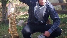 Tado lydeka (2,6 kg)