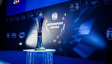 FIA Motorsport žaidynių taurė