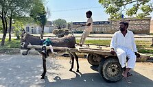 Karolio Mieliausko kelionė per Pakistaną su apsauga