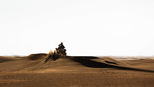 &bdquo;CFMOTO Thunder Racing Team&ldquo; pirmajame Abu Dhabi Desert Challenge greičio ruože