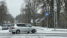 Pūga Druskininkuose
