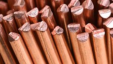 Varis (Shutterstock nuotr.)