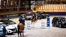 &bdquo;Metų automobilis 2025 m.&ldquo; konkurso dalyviai arklio jėgas skaičiavo &bdquo;Royal horse resort&ldquo;