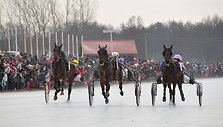 Žirgų lenktynės &bdquo;Sartai 2014&ldquo; 2014 m. vasario 01 d. 