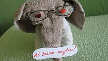 Reginos Račkauskienės dovana vyrui. &Scaron;ią nuotrauką rytą jis rado kompiuteryje.