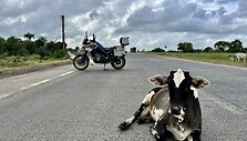 Karolis Mieliauskas keliauja po Indiją