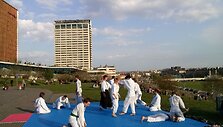 Aikido prie Vilniaus sakurų