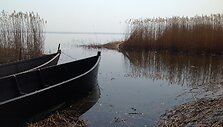 Juodkrantės pakrantės