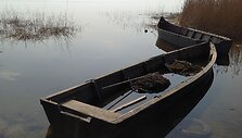 Juodkrantės pakrantės