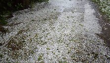 Vasaros kru&scaron;a Dubingiuose